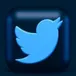 Twitter Profile Scraper (No Cookies) avatar