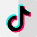 Tiktok User API (with no-watermark download link) avatar