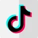 TikTok Comment API avatar