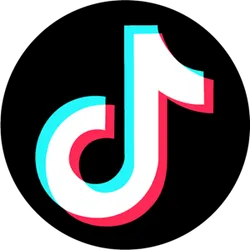 Super Tiktok Scraper 20x Efficiency with user videos + hashtags avatar