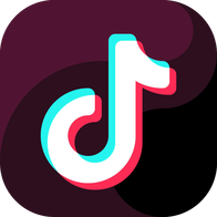 Tiktok Profile Videos Extractor/Scraper