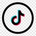 TikTok Profile Scraper (Private & Public) avatar