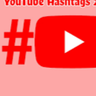 YouTube Hashtag Shorts/Videos Scraper #️⃣📺 (All-in-one) avatar