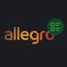 Allegro Product Detail Scraper avatar