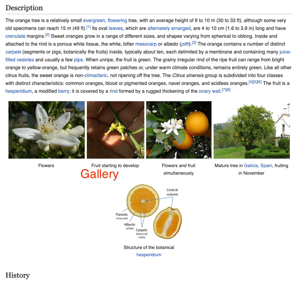 Wiki Label Image 6
