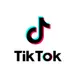 TikTok Profile & Video Data Extractor avatar