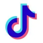 TikTok Subtitles Extractor