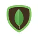 MongoDB Import avatar