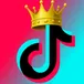 TikTok Media and Metadata Retriever avatar